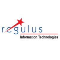 Regulus Infra & Technology