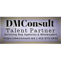 DMConsult | Talent Partner logo - Similar company to Virtual Technology, Inc.