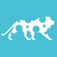 Teralon Media - Visual Content Marketing To Tell Your Story