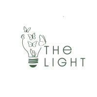 The Light logo - Similar company to Dive