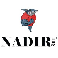 Nadir S.r.l. logo - Similar company to Brovind Do Brasil Industria E Comercio