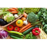 Vegetable vendor logo - Similar company to Pg Agro