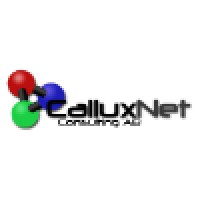CalluxNet Consulting AB logo - Similar company to Xplir
