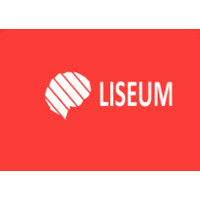 Liseum logo - Similar company to Objectvideo Labs