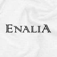 Enalia S.A.S logo - Similar company to Dicermex S.A.