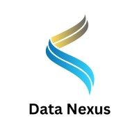 Data Nexus logo - Similar company to Data Horizon
