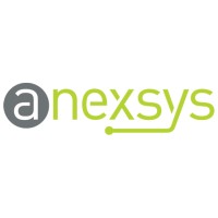 Anexsys | A Consilio Company logo - Similar company to Bluerunner Solutions
