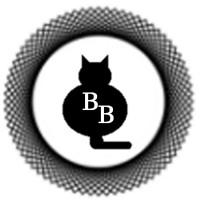 BlackCat Beyond logo - Similar company to Hooro - Retail Shelf Analytics