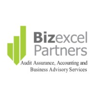 Bizexcel Partners logo - Similar company to Chricess Partners
