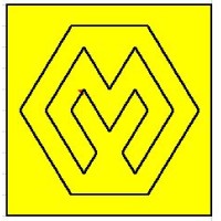 Megazen logo - Similar company to Meganext