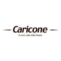 GRUPPO CARICONE SRL logo - Similar company to Evoo Srl