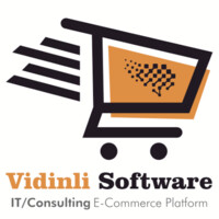 Vidinli Software logo - Similar company to It Ground Pro