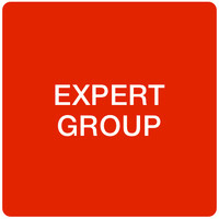 ExpertGroup logo - Similar company to Moasoft