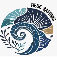 Blue Sapiens logo - Similar company to Surface Protection Es