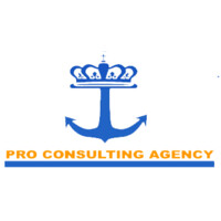 PRO CONSULTING AGENCY logo - Similar company to Blackship