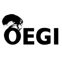 OEGI (OEG International) logo - Similar company to Education Standard