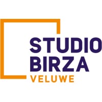 Studio Birza veluwe logo - Similar company to Iblue Drive & Solutions