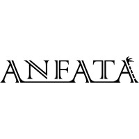 Anfata Games Ltd. logo - Similar company to Consoleway
