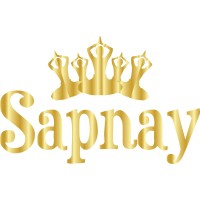 Sapnay School of Dance - UK's No.1 Bollywood Dance Company logo - Similar company to Bollywood Dance School Canada