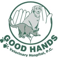 Good Hands Veterinary Hospital