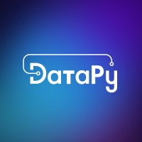 DataRu logo - Similar company to Brand Computers