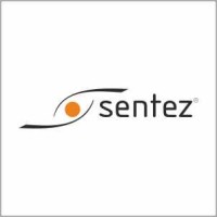 Sentez Reklam logo - Similar company to Digitalad Solution Media