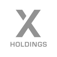 Nexus Holdings logo - Similar company to Nexus Pmg