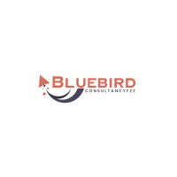 Blue Bird Consultancy FZE logo - Similar company to Eq Global