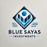 Blue Sayas Investments logo - Similar company to Dmm Holdings Usa, Inc.
