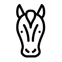 Pony Express logo - Similar company to Talent Effect