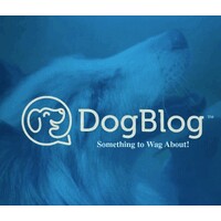 DogBlog logo - Similar company to Illumination Publication