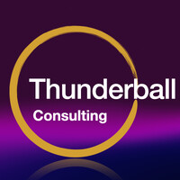 Thunderball Consulting logo - Similar company to Blue Screen It Solutions