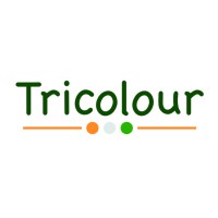 Tricolour Values Group logo - Similar company to Sunrays Financial Services