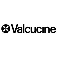 Valcucine logo - Similar company to Alea