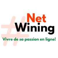 net Wining logo - Similar company to Netwings, S.R.O.