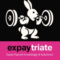 Expaytriate logo - Similar company to Streme