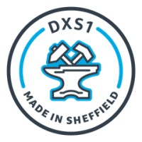 DXS1 logo - Similar company to Kieran Gilmurray And Company