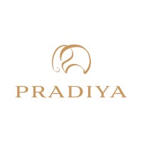 PRADIYA logo - Similar company to Business Development Services