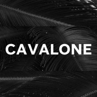 Cavalone logo - Similar company to Parydise Music Network