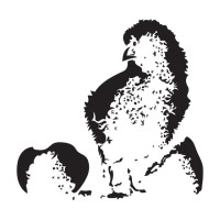Rosehill Agricultural Trading Limited logo - Similar company to Lloyds Animal Feeds