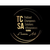 TCSA - Passion Auto logo - Similar company to Lys Reprog