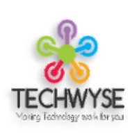 TechWyse (Pty) Ltd logo - Similar company to Techwyse