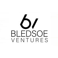 Bledsoe Venture logo - Similar company to Oneworld International Partners