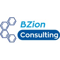 BZion Consulting logo - Similar company to Seratra S.R.L
