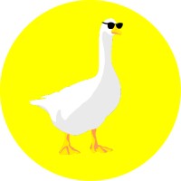Hey Goose logo - Similar company to Mintyy