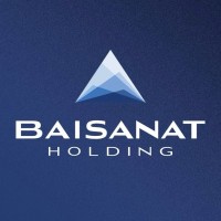 Baisanat Holding logo - Similar company to Pine Holding