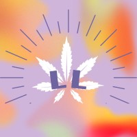 Liv's Leaves logo - Similar company to Liv'S