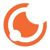 Techvision ICT Solutions Inc. logo - Similar company to Filam Software