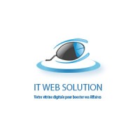IT Web Solution logo - Similar company to Et Network Solution