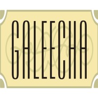 Galeecha India Pvt. Ltd. logo - Similar company to Technocrats Digimate
